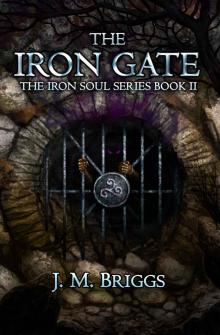 The Iron Gate The Iron Gate
