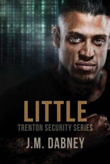 Little (Trenton Security Book 2) Little (Trenton Security Book 2)