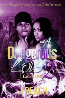 A Dangerous Love 2: Can't Let Go