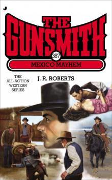 The Gunsmith 387