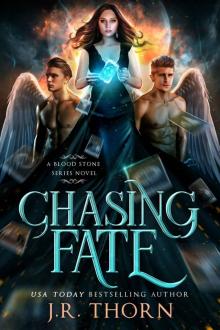 Chasing Fate: A Reverse Harem Romance Chasing Fate: A Reverse Harem Romance