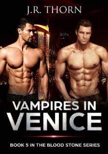 Vampires in Venice (Blood Stone Series Book 5) Vampires in Venice (Blood Stone Series Book 5)
