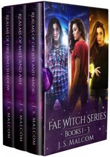 Fae Witch Chronicles Books 1 - 3