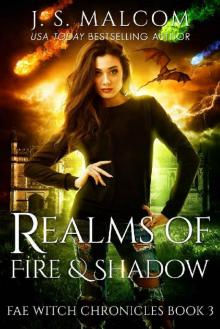 Realms of Fire and Shadow: Fae Witch Chronicles Book 3 Realms of Fire and Shadow: Fae Witch Chronicles Book 3