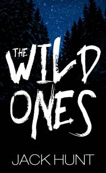 The Wild Ones (Book 1)
