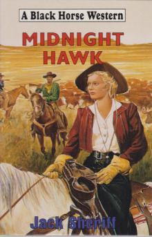 Midnight Hawk