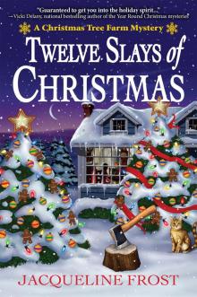 Twelve Slays of Christmas Twelve Slays of Christmas