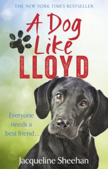 A Dog Like Lloyd A Dog Like Lloyd