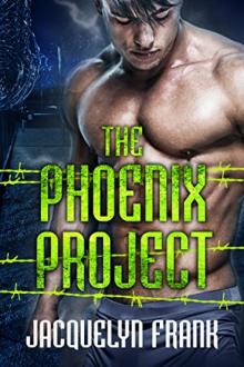The Phoenix Project The Phoenix Project