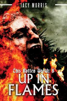 Up In Flames Up In Flames
