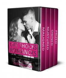Life Shocks Romances Collection 4