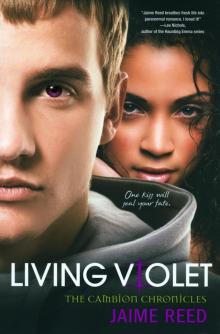 Living Violet Living Violet