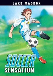 Soccer Sensation Soccer Sensation