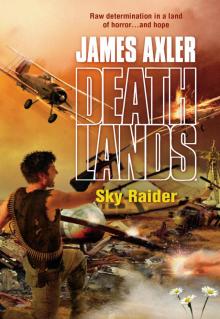 Sky Raider Sky Raider