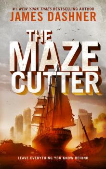 The Maze Cutter The Maze Cutter