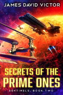 Secrets of the Prime Ones (Sentinels Book 2)