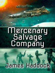 Mercenary Salvage Company Mercenary Salvage Company