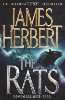 The Rats r-4 The Rats r-4