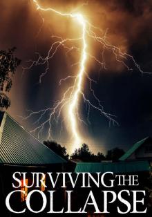Surviving the Collapse: A Tale Of Survival In A Powerless World- Book 2