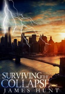 Surviving The Collapse: Book 0 Surviving The Collapse: Book 0