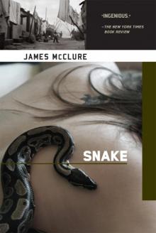 Snake Snake