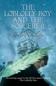 The Loblolly Boy and the Sorcerer The Loblolly Boy and the Sorcerer