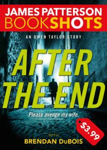 After the End After the End