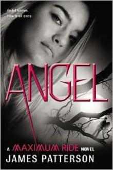 Angel: A Maximum Ride Novel mr-7