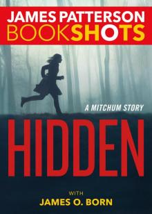 Hidden Hidden