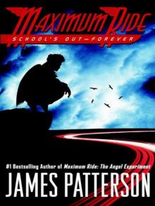 Maximum Ride 02