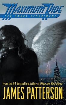 Maximum Ride
