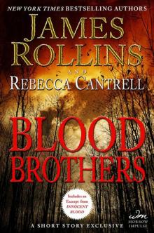 Blood Brothers (the order of the sanguines)