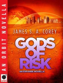 Gods of Risk: An Expanse Novella Gods of Risk: An Expanse Novella