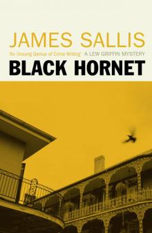 Black Hornet lg-3