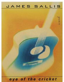 Eye of the Cricket lg-4