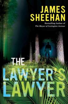 The Lawyer's Lawyer The Lawyer's Lawyer