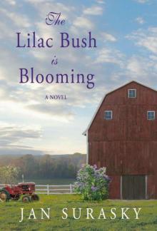 The Lilac Bush Is Blooming The Lilac Bush Is Blooming