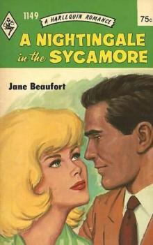 A Nightingale in the Sycamore