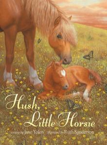 Hush, Little Horsie
