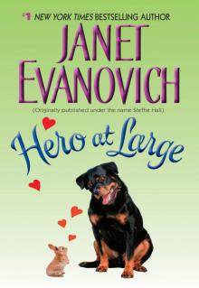 Hero at Large Hero at Large