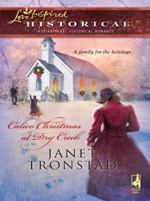 Calico Christmas at Dry Creek Calico Christmas at Dry Creek