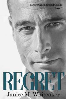 Regret (Never Waste a Second Chance Book 2)
