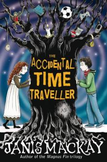 The Accidental Time Traveller The Accidental Time Traveller
