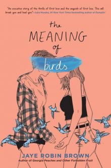 The Meaning of Birds