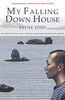 My Falling Down House My Falling Down House