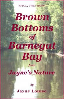 Brown Bottoms of Barnegat Bay (Jayne's Nature)
