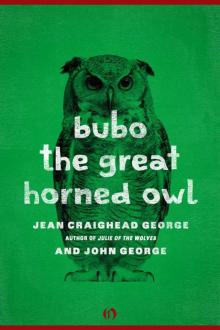 Bubo, the Great Horned Owl (American Woodland Tales) Bubo, the Great Horned Owl (American Woodland Tales)