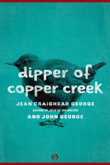Dipper of Copper Creek (American Woodland Tales) Dipper of Copper Creek (American Woodland Tales)