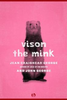 Vison, the Mink (American Woodland Tales)