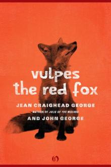 Vulpes, the Red Fox (American Woodland Tales)